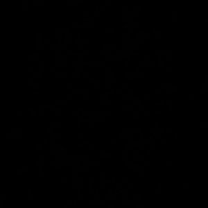 Meet your Posher, Gia